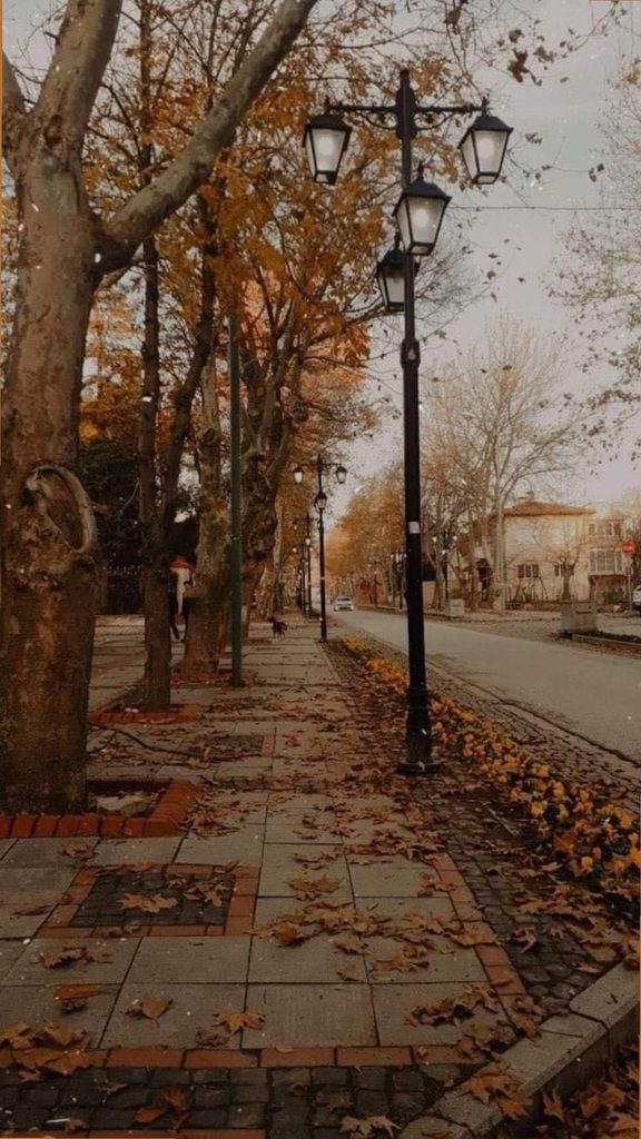 image46